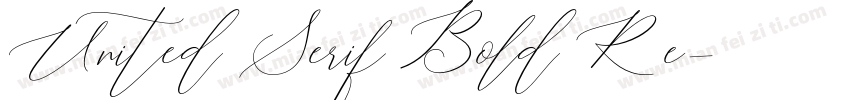 United Serif Bold Re字体转换
